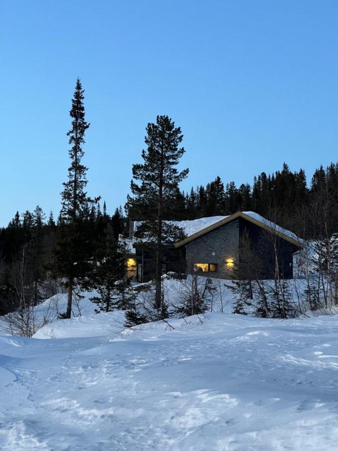 Tuddal Brand New Cabin On The Sunny Side Of Gaustatoppen With A Great View מראה חיצוני תמונה