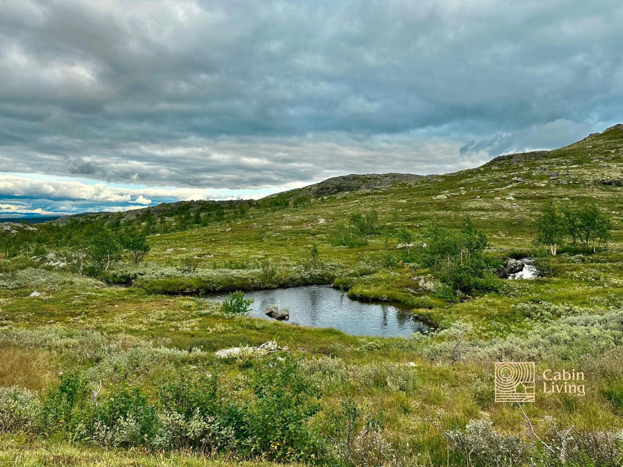 Tuddal Brand New Cabin On The Sunny Side Of Gaustatoppen With A Great View מראה חיצוני תמונה