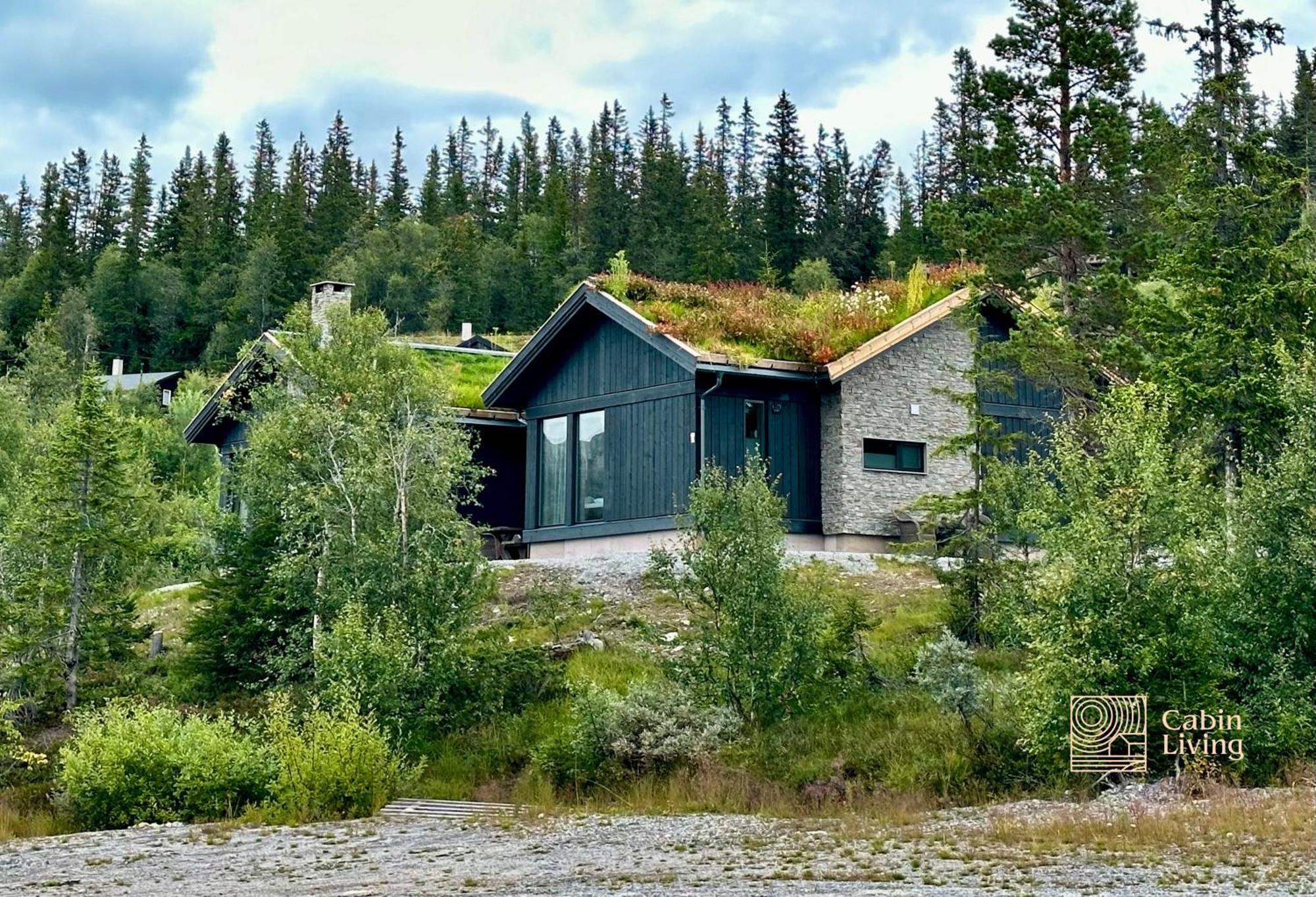 Tuddal Brand New Cabin On The Sunny Side Of Gaustatoppen With A Great View מראה חיצוני תמונה